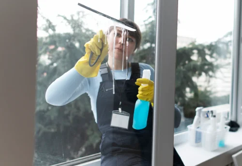 Nettoyage de vitres intérieures et extérieures à Queyrières